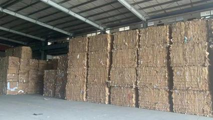 夯實前端回收，轉變模式再出發 劉磊在第七屆中國回收紙行業大會的探索之路